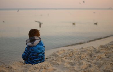 child birds sea loneliness sadness 438373