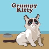 cat puss domestic animal 697522