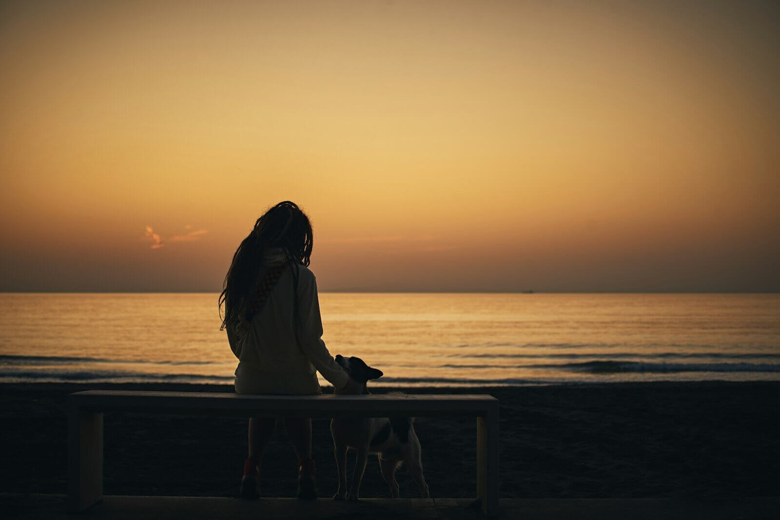 a woman sitting on a bench next to a dog