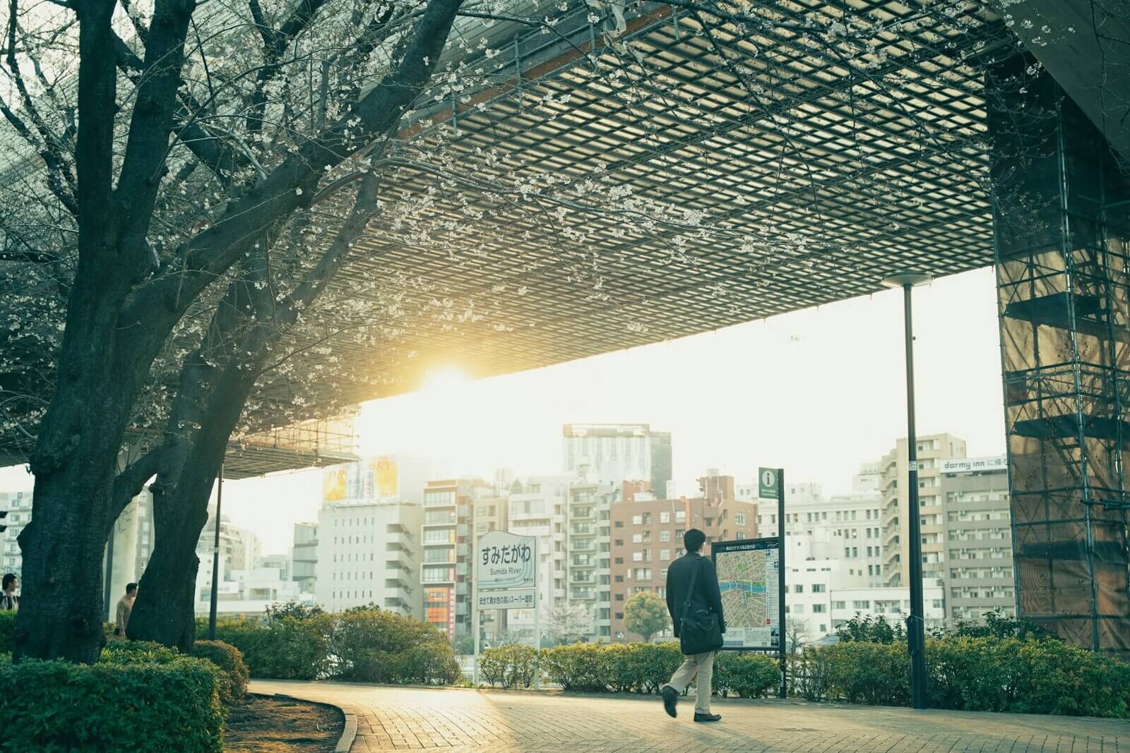 Man walking on path with city buildings in background